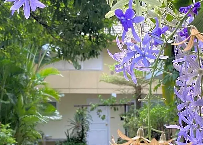 Hidden House *