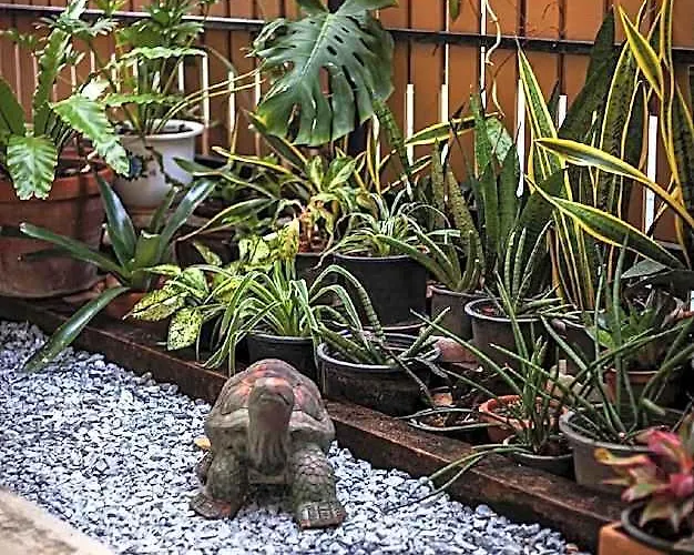 ホテル Hidden House